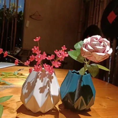 Wuyishan Jiulong Impression Hotel (Sangu Resort Branch)