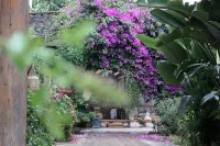 hootao inn
