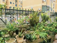 Bamboo Shadow Courtyard