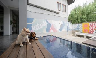 Ketawa Pet Friendly Hotel