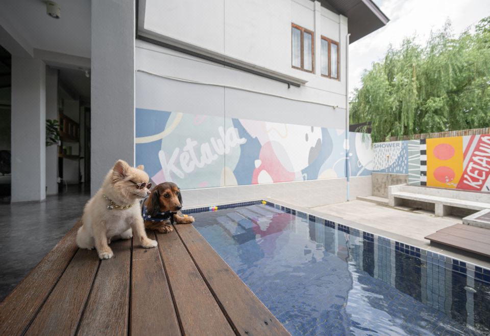 케타와 스타일리시 호텔