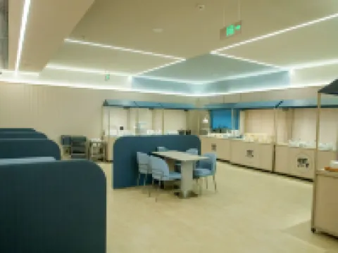 HanTing Hotel (Linzhang County Yeling Park) Hotel a Linzhang