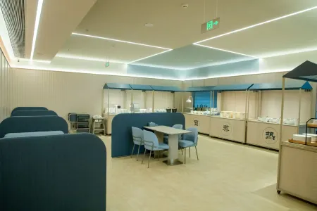 HanTing Hotel (Linzhang County Yeling Park) Отели рядом с достопримечательностью «Чэнань Народная Больница»