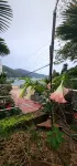 Ha-Wahyeon HOUSE: Great location, views and vibe! - غرفة مطلة على الجبل