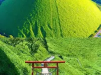 TangWu Hotels in Ito