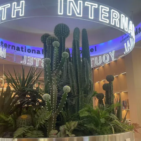 May fourth International Youth
