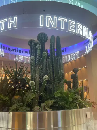 May fourth International Youth