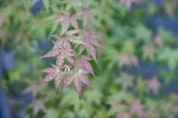 MADOKA Kyoto station west Hotels in 