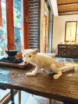 Jiezi Ancient Town Shuke Courtyard Homestay