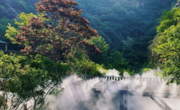 Shuiyunxiang Homestay