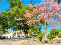 Wuxing Diaolou Guesthouse