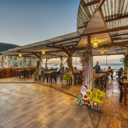 Zenobia Beach Resort