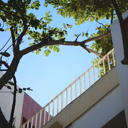 Wangshanju Homestay