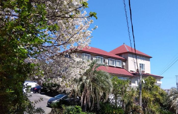 hotel cliffside