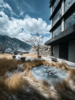 阿蘭若·明堂 ARAYA INN CURATE - 景觀