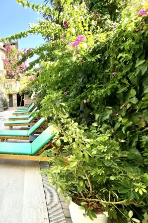 텐 아파트 호텔