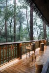 Mount Huangshan Creek Water Cloud Stream Forest Resort Hotel (Tunxi Old Street Store) - bar