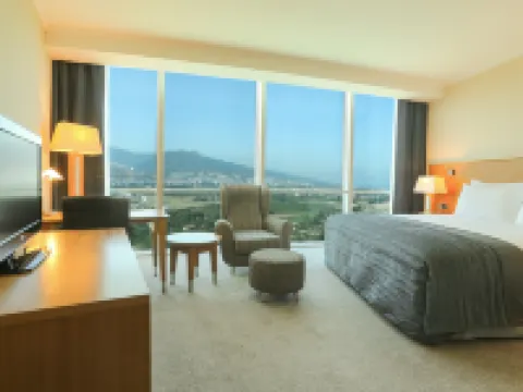 Wyndham Grand İzmir Özdilek Thermal & Spa İzmir otelleri