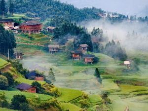 Cattle ploughing tribe idyllic homestay in Liping County