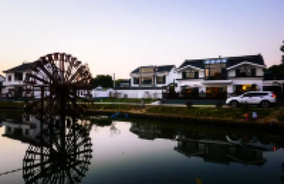 Phoenix Flower Field Boutique Homestay