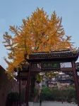 Ruolanbieyuan Homestay (Phoenix Ancient City Store)