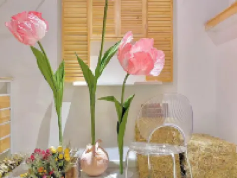 อินน์หยุนไป่ ภูเขาฉางไป่ โรงแรมในอันถู