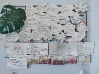 Flying Model Room International Youth Hostel