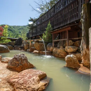深山桜庵 別館 湯めぐりの宿 平湯館 奥飛騨温泉郷平湯周辺のホテル