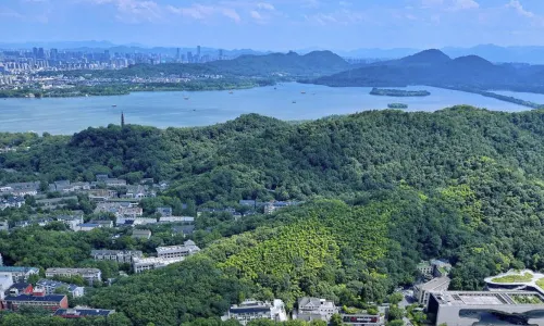 The Dragon Hotel Hangzhou