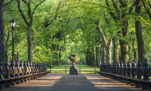 1 Hotel Central Park