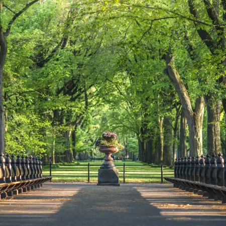 1 Hotel Central Park Отели рядом с достопримечательностью «Каток Уоллмен»