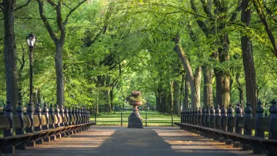 1 Hotel Central Park Отели в г. Нью-Йорк