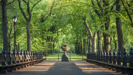 1 Hotel Central Park Отели рядом с достопримечательностью «Institute for the Study of the Ancient World at NYU»