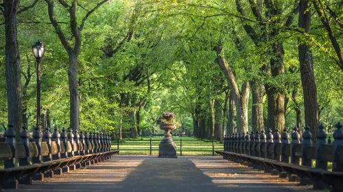1 Hotel Central Park Hotels in New York