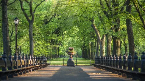 1 Hotel Central Park
