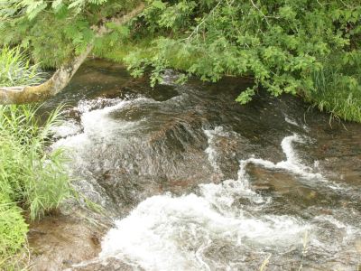 ホテル周辺 旅籠彩くらの写真