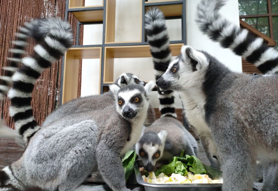 호텔 주변 관광 안내