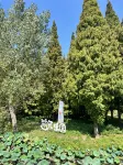 Jinhu Water Forest Scenic Area, Jinhu Water Forest · Gangfu  Hot Spring Resort Hotel - Gym