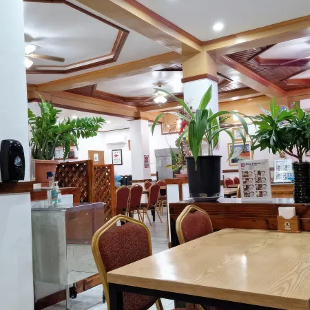 PALAU PARADISE COMFORT