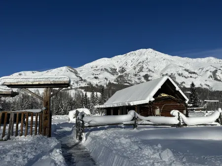 Hemu blueberry Villa