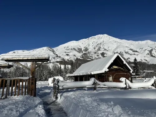 Hemu blueberry Villa