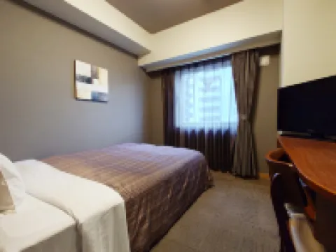 ホテルルートイン古河駅前 古河のホテル