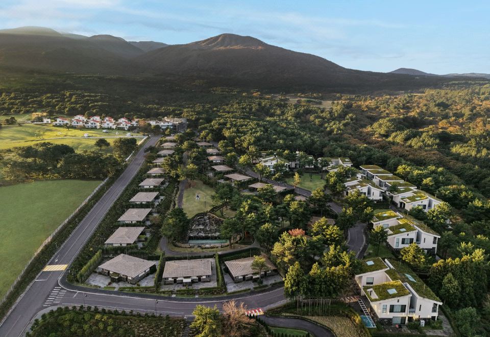 엠버 퓨어힐 밤하늘