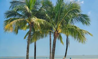 Zhuhai Guozi Dance Hotel (Wan Chai Port International Convention and Exhibition Centre Branch)