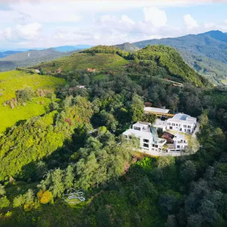 Phoenix Mist Retreat | Dali Wuliang Tea Forest Resort