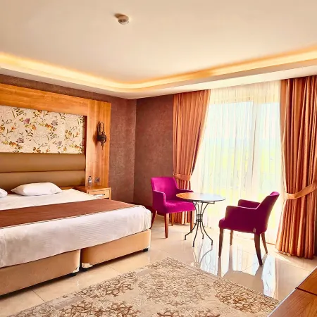 Dudu Hotel Hotel a Distretto di Gerede