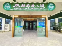 Feimao Intangible Cultural Heritage Town Hotels in Hongze District