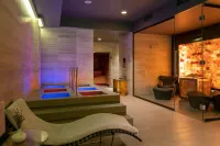 BERD'S酒店 - SPA