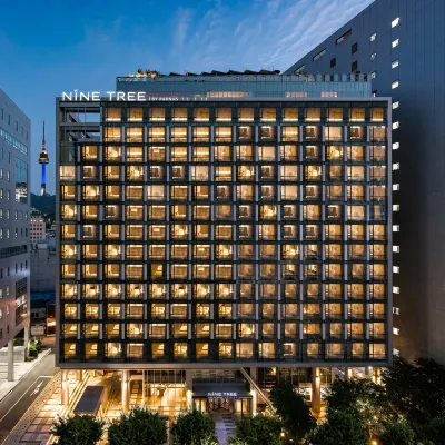 NINE TREE BY PARNAS SEOUL MYEONGDONG 2 Hotels near Myeong-dong