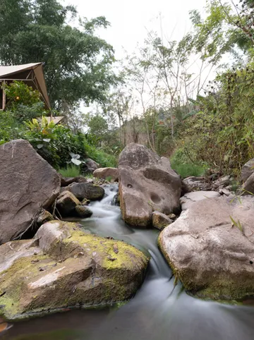 รูปภาพของวิศามา เอ็กซ์พลอเรอร์ น่าน